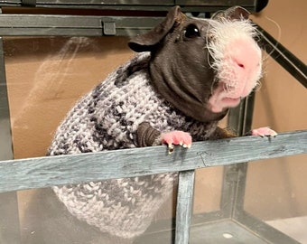 Meerschweinchen Pullover