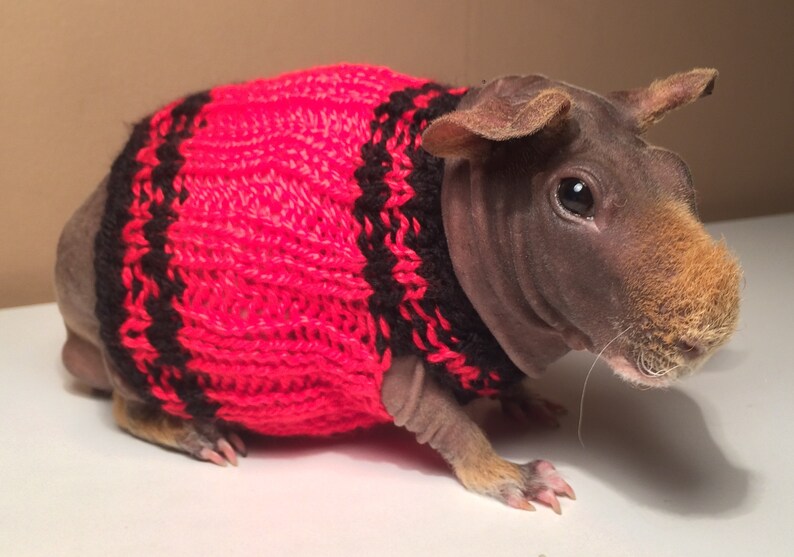 Skinny Pig Dress Etsy