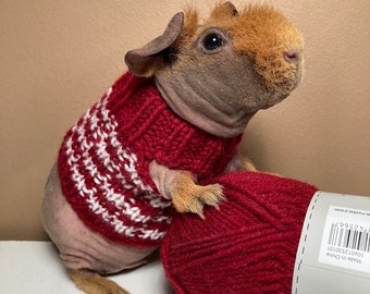red and white Knitted Pet top