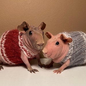 Rust brown Guinea pig dress