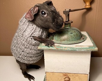 Grey Sparkling Guinea pig dress