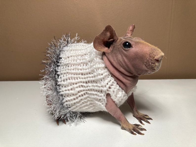 Guinea Pig Dress Etsy