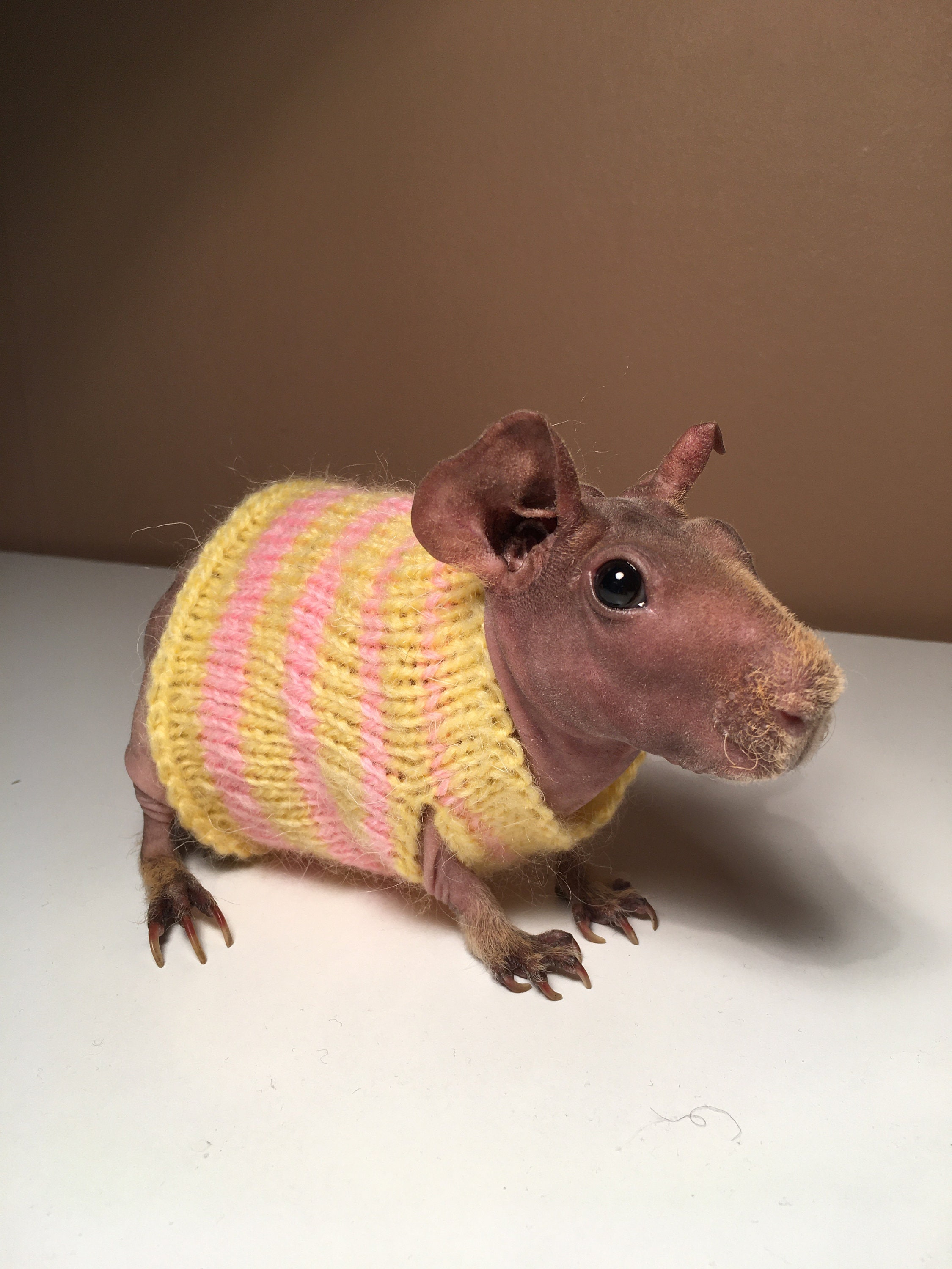 Guinea Pig Dress Etsy Canada