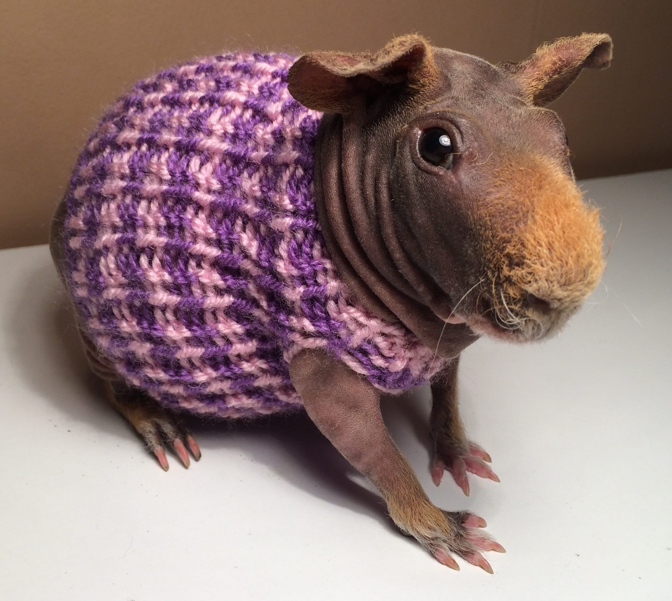 Guinea Pig Clothes Etsy UK
