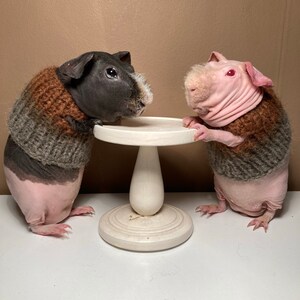 Knitted sweater