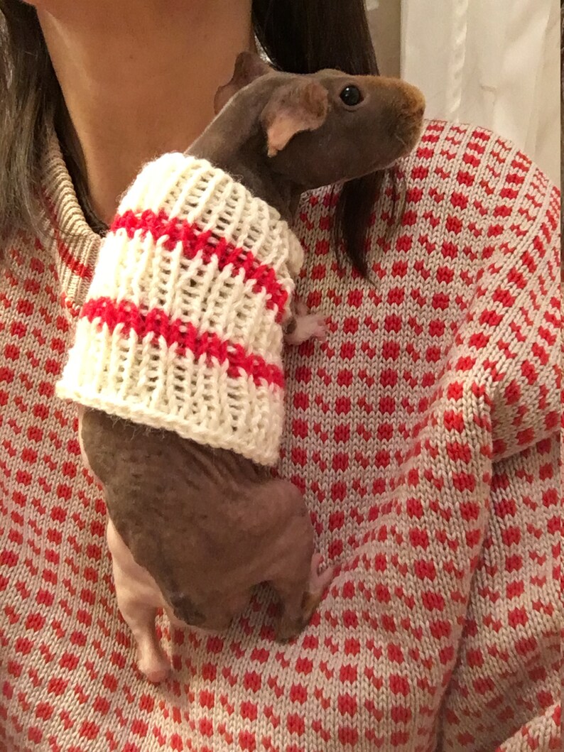 Knitted sweater