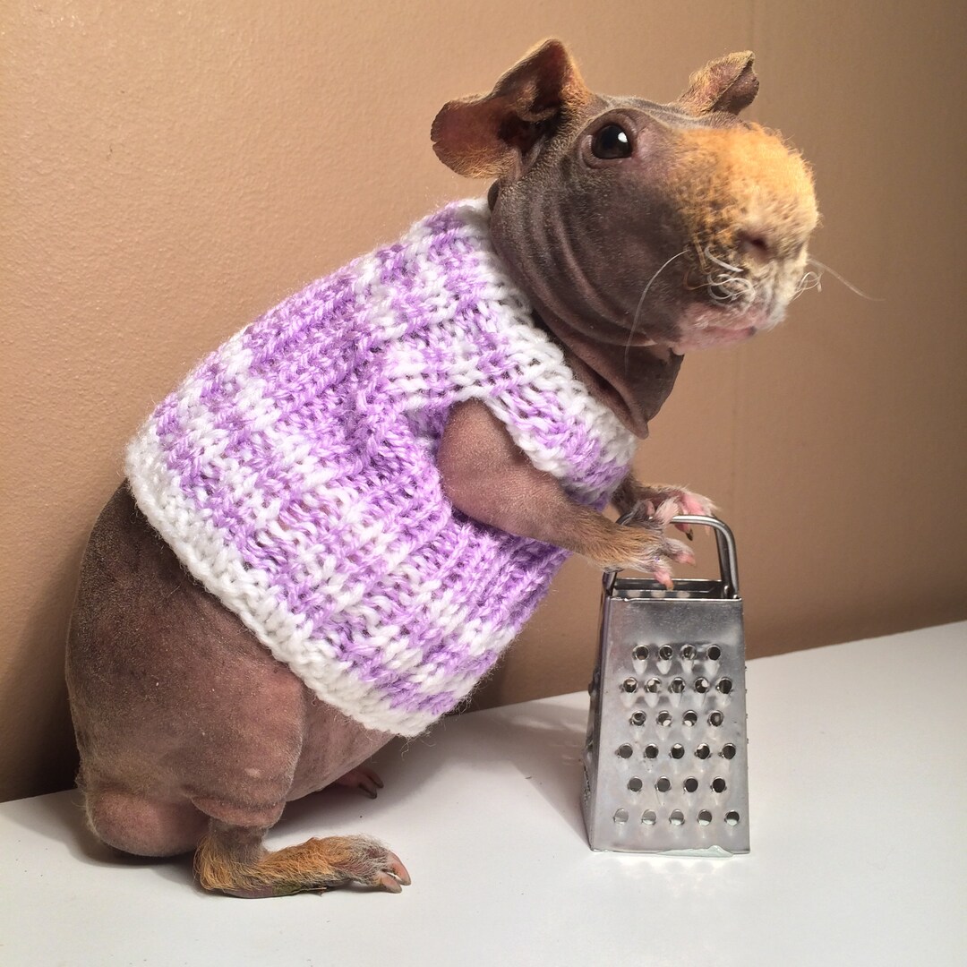 Skinny pig outfits 2025