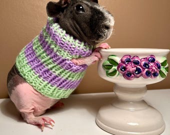 Lilac and green Guinea pig dress