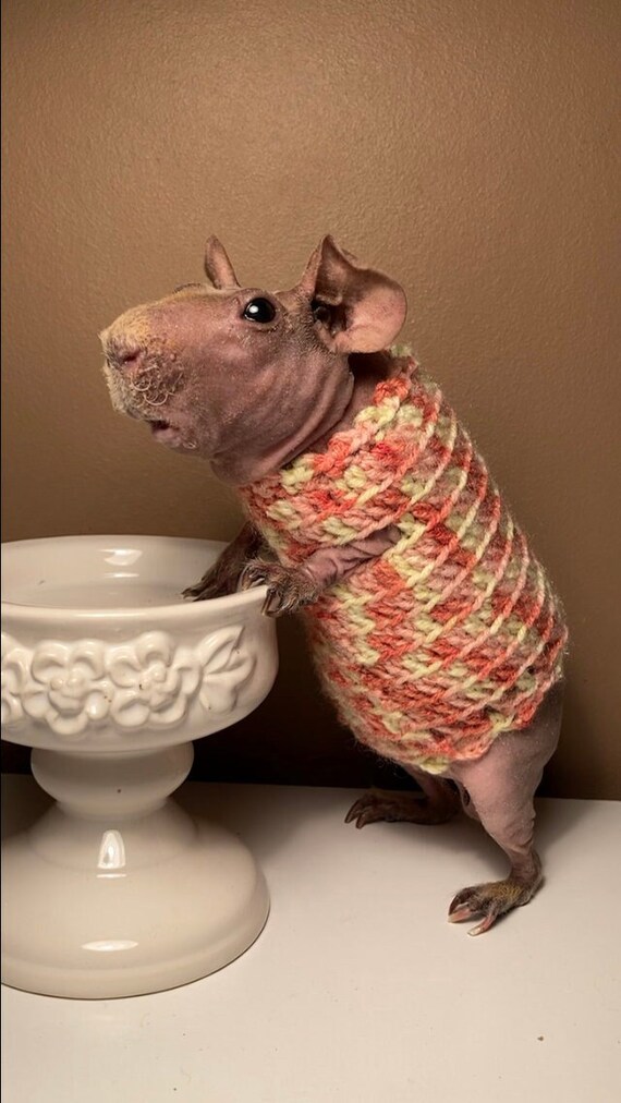knitted mottled dress 80s Pastel Hand Knit Mohair Sweater with a scoopneck in front and back PIECES Knitted dress 'PCRYDIA' in