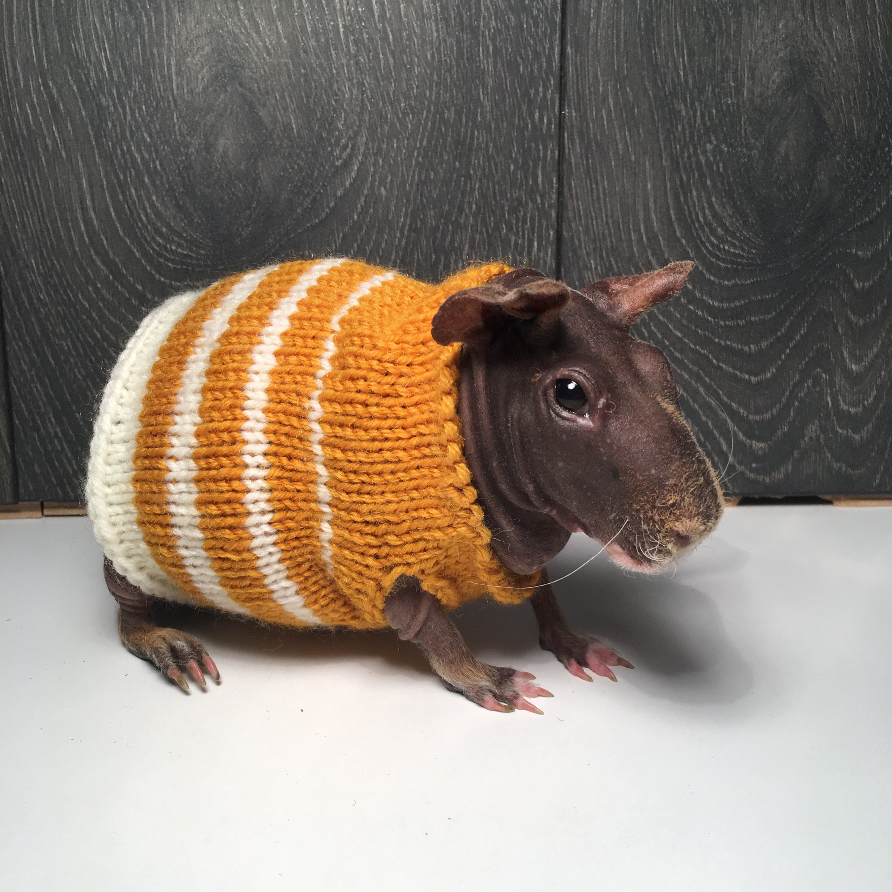 Guinea pig dress Etsy