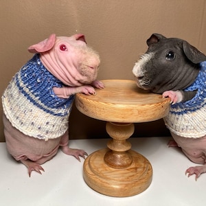 Knitted sweater
