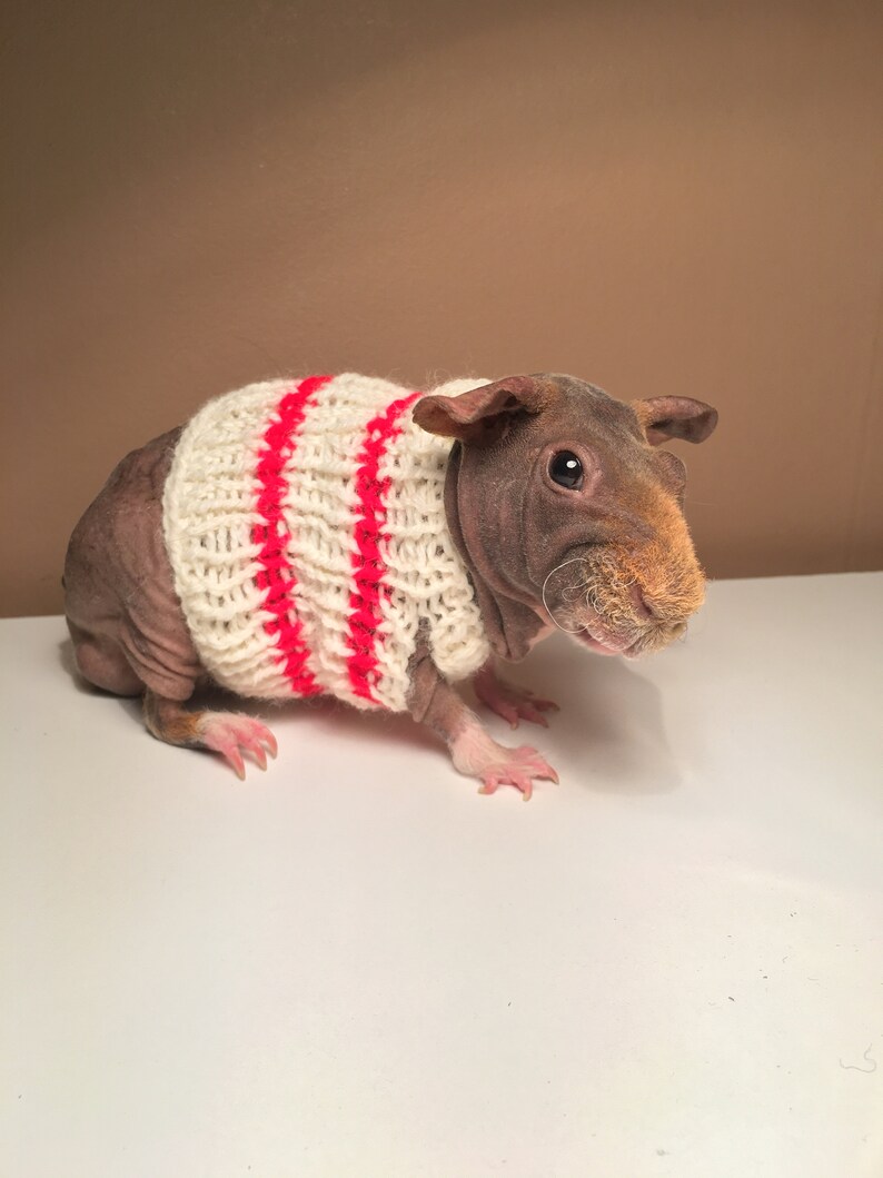 Knitted sweater
