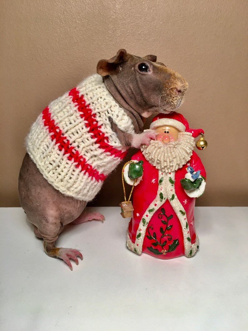 Knitted sweater