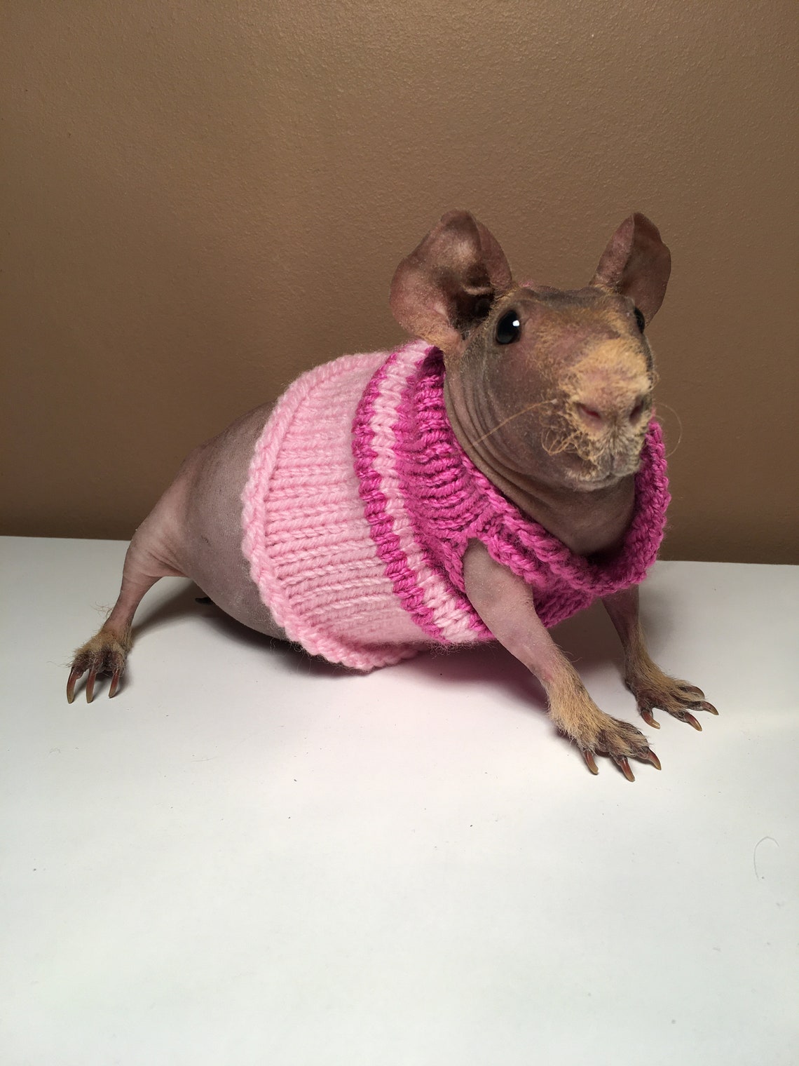 Guinea pig dress Etsy