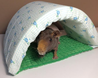 Guinea pig house / tunnel