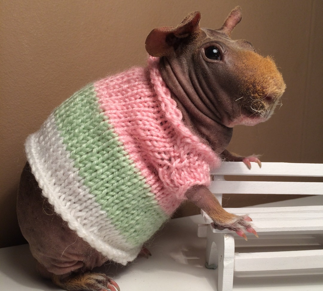 Guinea Pig Dress Etsy