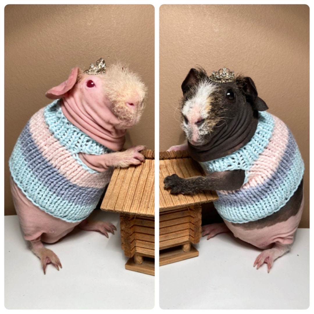 Guinea Pig Dress Etsy