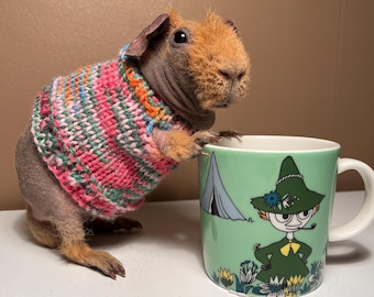 Vestito colorato e screziato per porcellino d'India