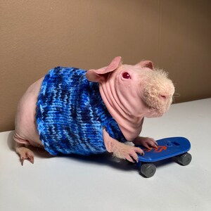 Knitted sweater