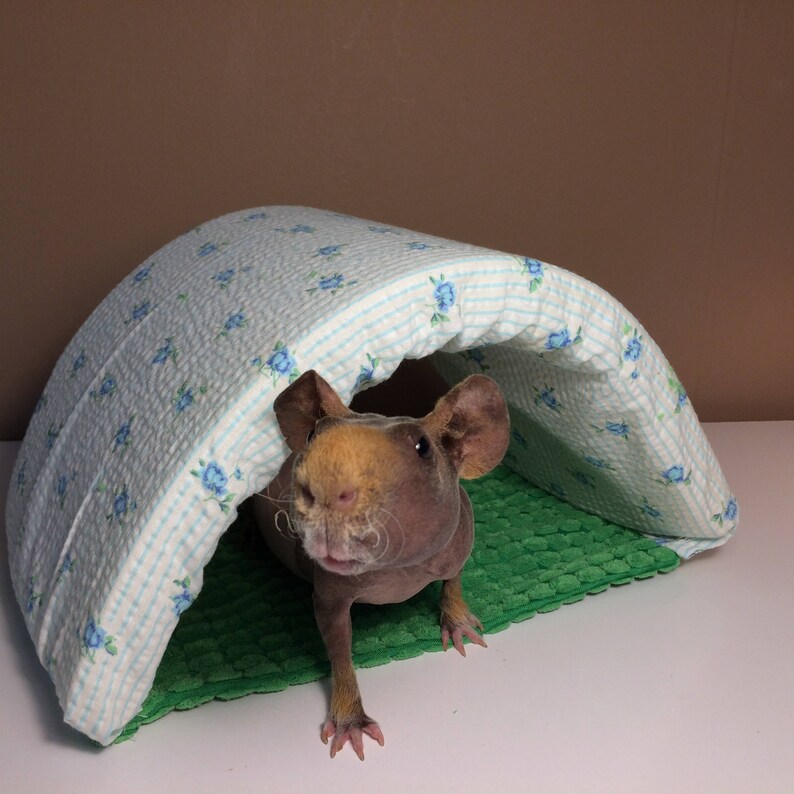 Guinea Pig House / Tunnel Etsy