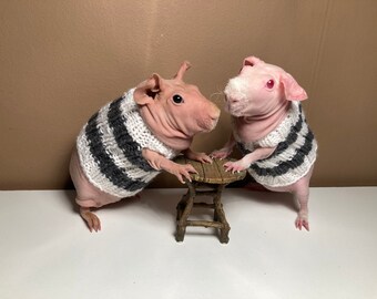 Grey and white striped Pet top