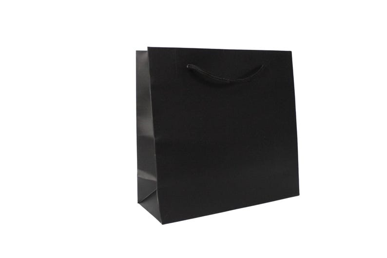 May include: A black paper gift bag with black rope handles.