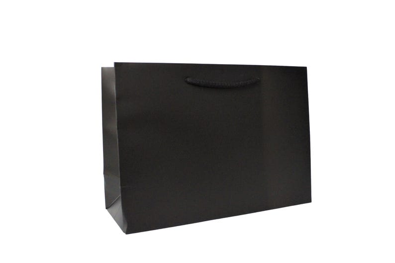 May include: A black paper gift bag with black rope handles.