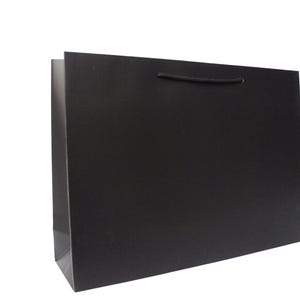 May include: A black paper shopping bag with a black rope handle.