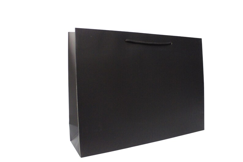 May include: A black paper shopping bag with a black rope handle.