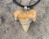 Fossil Shark Tooth Pendant