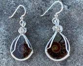 ammonite fossil earrings - sterling silver