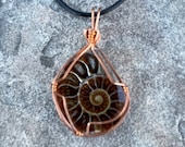 Ammonite Fossil Pendant - Copper