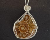 Ammonite Fossil Pendant, Sterling Silver