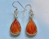 Spiny Oyster Shell Wire Wrapped Earrings - Sterling Silver