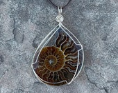 XLG Ammonite Fossil Pendant - Sterling Silver