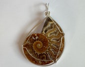 Large Ammonite Fossil Pendant, Sterling Silver