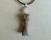 Petrified Dinosaur Bone Pendant with Cord