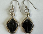 Trilobite Earrings, Sterling Silver