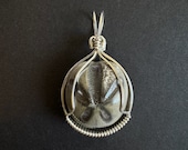 Fossil Sand Dollar (Sea Urchin) Pendant, Sterling Silver
