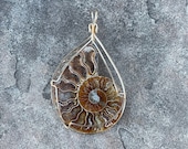 XLG Ammonite Fossil Pendant - 14k Gold-Filled