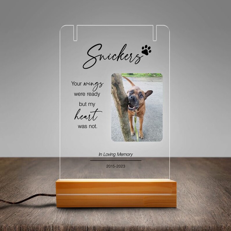 Personalized LED Pet Memorial Dog Collar Keepsake Custom Pet Loss Gift