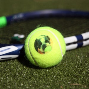 Pu&ograve; includere: Una palla da tennis gialla con un design verde, nero e bianco, accanto a una racchetta da tennis blu e bianca su una superficie di erba artificiale verde.