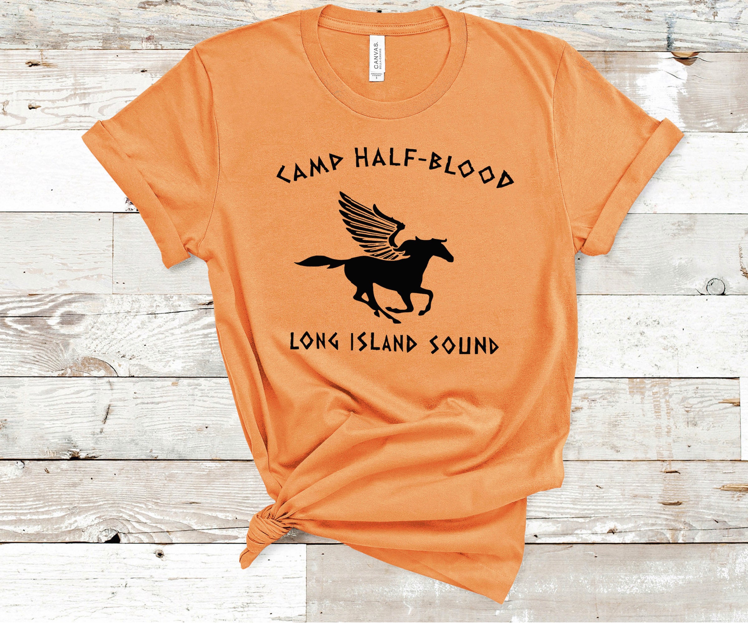 Camp Half Blood Cosplay Percy Jackson Rick Riordan - Camp Half Blood  Cosplay - Kids T-Shirt