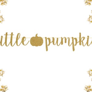 Little Pumpkin Glitter Banner | Baby Shower Banner Gold Sliver New Born Decor, Modern Baby Shower, Pregnancy Banner, Baby Announcement