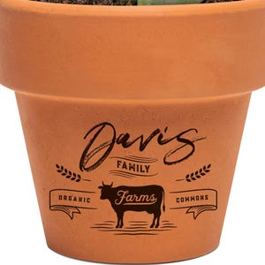 May include: A terracotta-colored flower pot with a succulent plant. The pot has the words "Davis Family Farms Organic Commons" and a cow illustration. The succulent has green leaves with red tips.