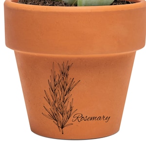 以下が含まれることがあります： テラコッタの鉢に入った小さな多肉植物。植物は、赤い先端を持つ淡い緑色の葉をしています。鉢は円筒形で上部が広く、「Rosemary」の文字とローズマリーのイラストが描かれています。