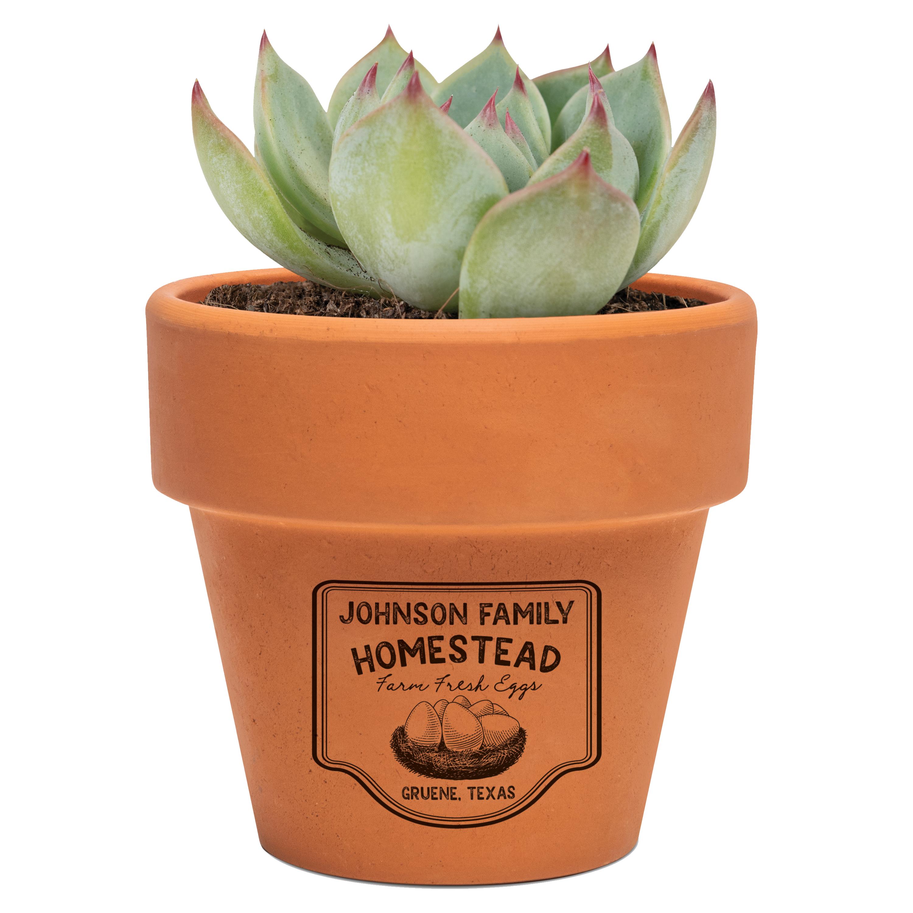 Farm Fresh Eggs Terracotta Pot, Chicken Farm Succulent Pot, Gift