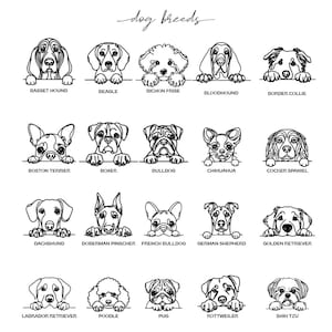 May include: A black and white illustration featuring various dog breeds, including Basset Hound, Beagle, Bichon Frise, and others. The text "dog breeds" is at the top. Each dog is drawn peeking over a line with its breed name below.