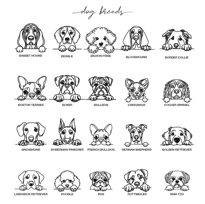 May include: A black and white illustration featuring various dog breeds, including Basset Hound, Beagle, Bichon Frise, and others. The text "dog breeds" is at the top. Each dog is drawn peeking over a line with its breed name below.