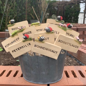 Könnte beinhalten: Ein Set mit 10 Keramik-Gartenmarkierungen mit Marienkäfer- und Bienen-Akzenten. Die Markierungen sind in einem hellen Braun mit schwarzer Beschriftung bemalt. Die Markierungen sind mit den Namen von Kräutern beschriftet, darunter: Rosmarin, Minze, Ysop, Dill, Salbei, Koriander, Petersilie, Bohnenkraut, Schnittlauch und Schalotte.